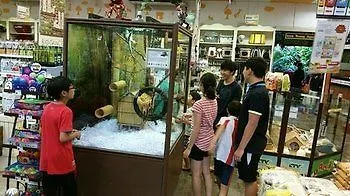 Rg Heritage Boutique Guest House Penang Hotel George Town